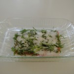 Gravlax with curing mix