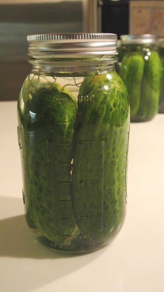 Refridgerator Dill Pickles