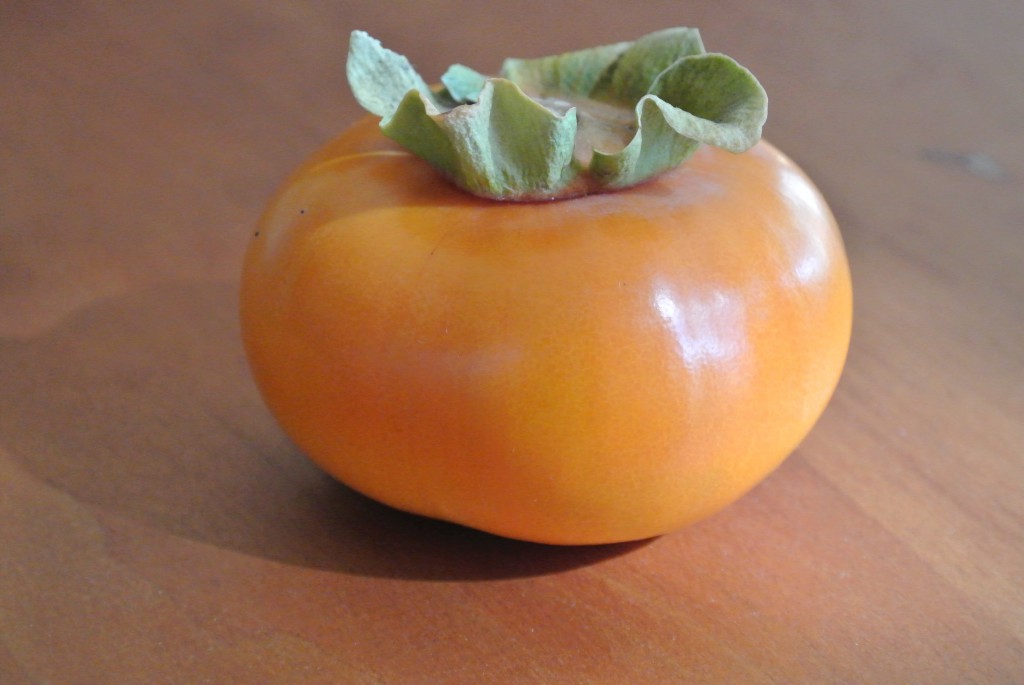Fuyu Persimmon Fuyu Persimmon - It's Harvest Time!