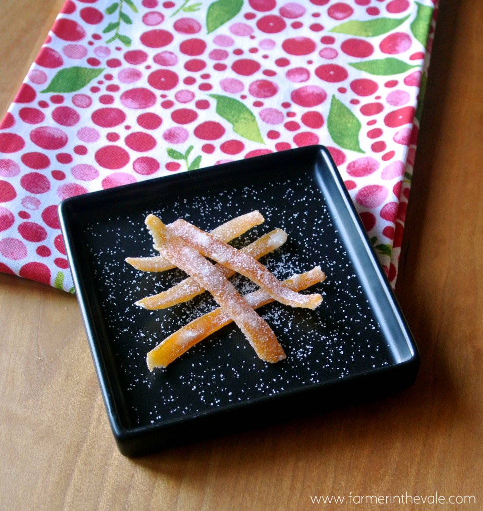 candied orange peel